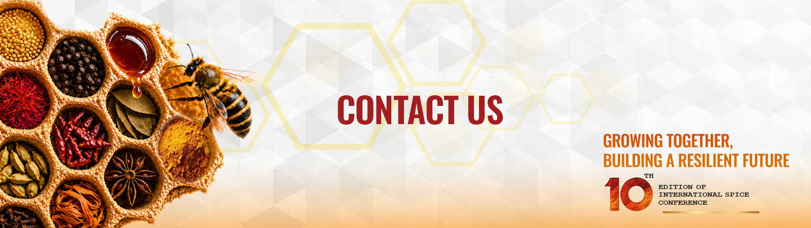 Contact Us