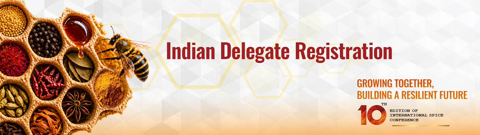 Indian Delegate Registration