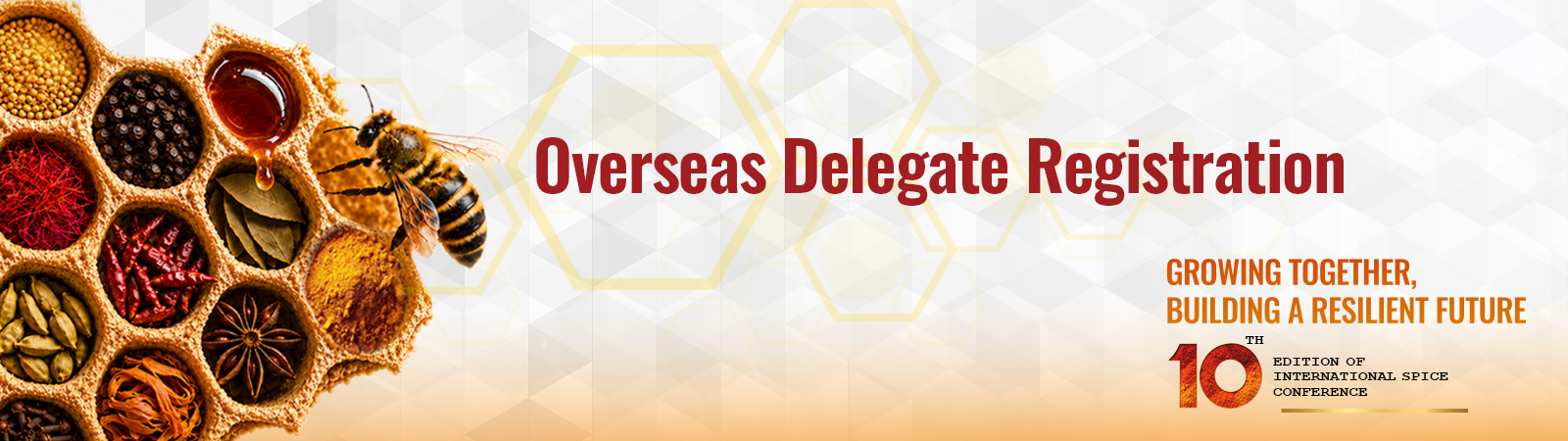 Overseas Delegate Registration